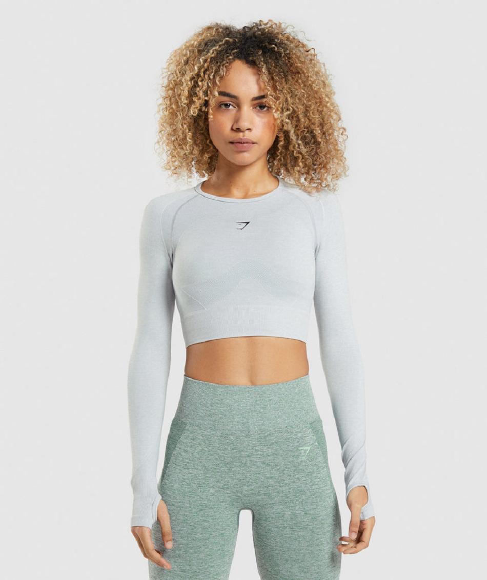 Gymshark Flex Sports Long Sleeve Ženske Ošišane Majice Svijetlo Sive | HR 3610PJJ